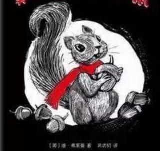 【家家宝幼儿园1992】睡前故事——戴红围巾的松鼠