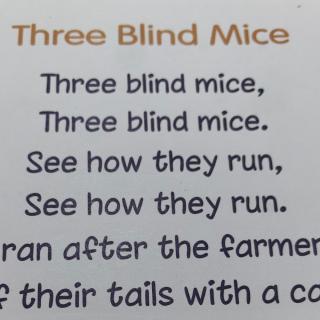three blind mice