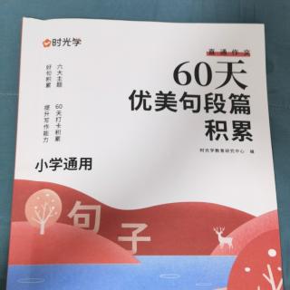 60天优美句段篇积累