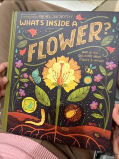 what's inside a flower by Miranda