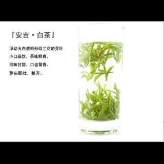 绿茶传说