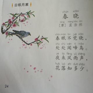 《春晓》唐.孟浩然