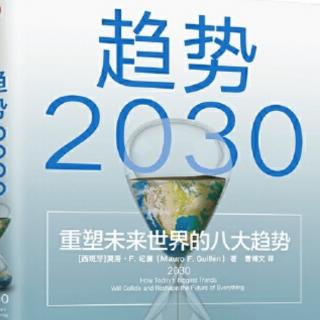 《趋势2030》—第三章9全民保障性收入的畅想1