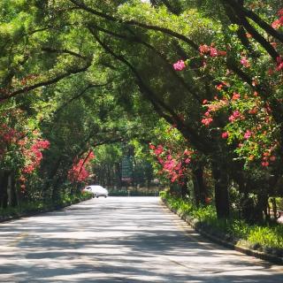 《别慌，六十岁而已》佚名