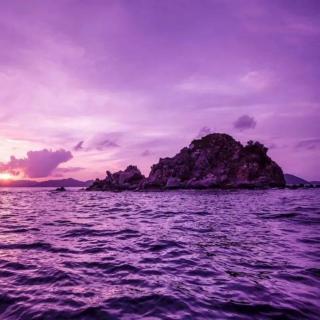梦里有片紫色的海.作者：凤雏生