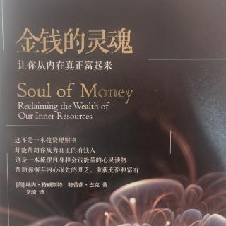 金钱的灵魂→第七章:合作创造丰盛2