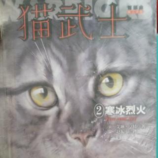 猫武士之②寒冰烈火第11章