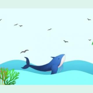 海豚——科普绘本
