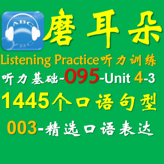 095-Unit4-1445个口语句型-003精选口语表达