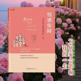 第四章（105-115页）无法实现的承诺