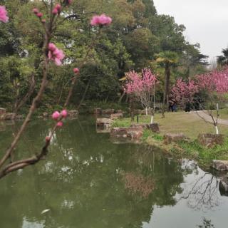 《南乡子题画二首》其一（清）吴湖帆＆郝雁妙音