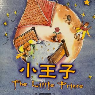 小王子 the little prince