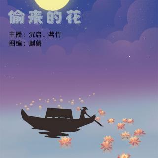 周二故事组【偷来的花（下）】VOL.沉启 茗竹