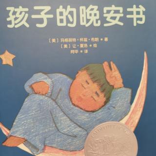 孩子的晚安书