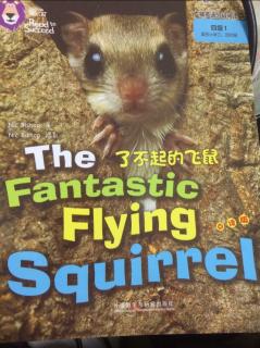 The Fantastic Flying Squirrel大猫英语分级阅读四级1