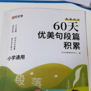 60天优美句段篇积累