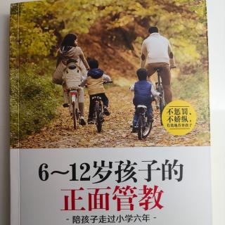 6-12岁孩子的《正面管教》第3章孩子是家庭的“放大镜”