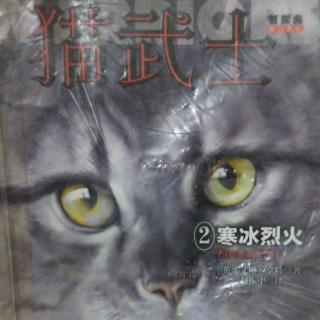 猫武士之②寒冰烈火第23章