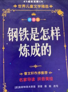 《钢铁是怎样炼成的》