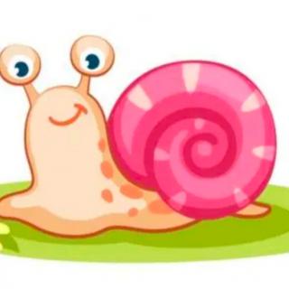 晚安故事《一只蜗牛，两只蜗牛》