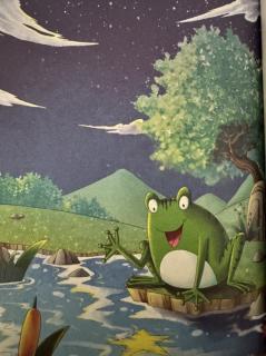 爱和星星聊天的青蛙