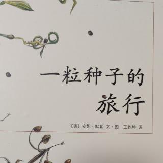 《一粒种子的旅行》