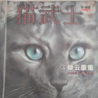 猫武士之③疑云重重引子