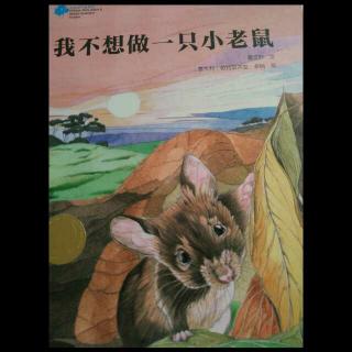小杨老师讲故事《我不想做一只小老鼠》