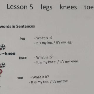 lesson5 legs knees toes