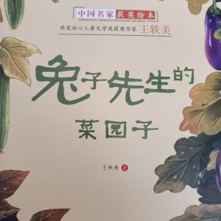 兔子先生的菜园子