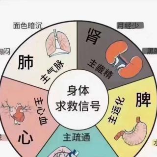 三维立体养生