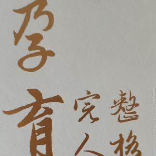 当阳光洒在绿叶上，这就是爱