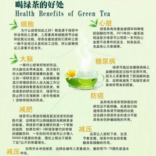 初识绿茶