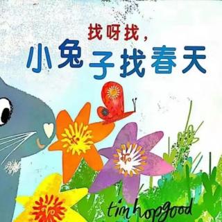 364.《小兔子找春天》