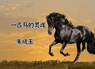 《一匹马的灵魂》作者朱成玉 诵读侯冬云