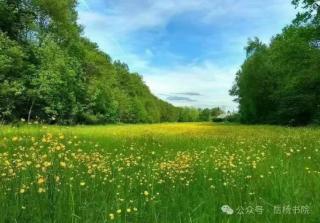 《翻山越岭俺寻你来》蓝水