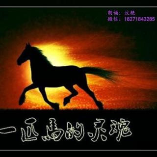 冉冉诵读《一匹马的灵魂》作者：朱成玉