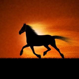 《一匹马的灵魂》作者：朱成玉