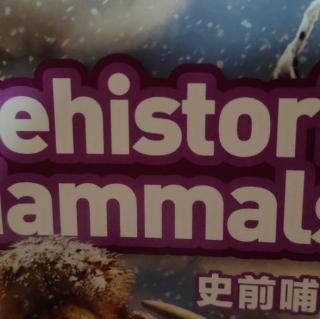 prehistoric sammals