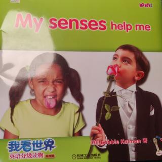 845天  My senses help me
