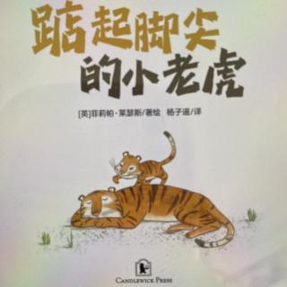 绘本《踮起脚尖的小老虎》