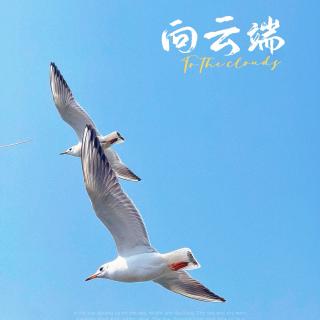 二年级   春季7  本课认读（要求录音部分）