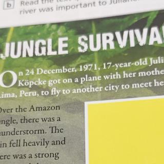 jungle survive