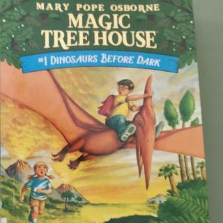 Magic Tree  House1.1