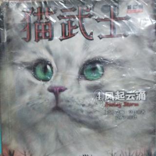 猫武士之④风起云涌引子