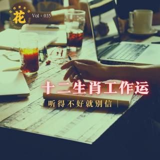 十二生肖龙年工作运全面分析，玄学小王子返场！· 花样更年华 Vol：035