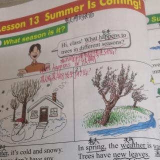 4.17Lesson 13 summer is coming