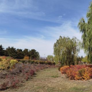 百草园书店   生活充实有趣，不惧岁月沧桑