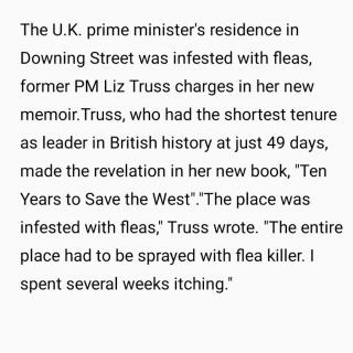 20240419英国前首相惊人爆料：最高首相宅邸居然“害虫成灾”？！