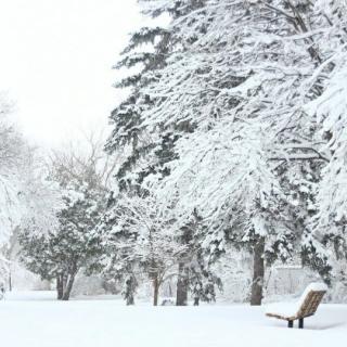 雪地钢琴(朗诵：于凤霞)